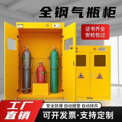 安 康 气瓶柜全钢防爆实验室存储柜安全柜双瓶液化钢瓶煤气罐
