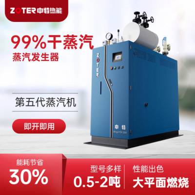 燃气蒸汽发生器干洗店烘干消毒蒸汽发生器