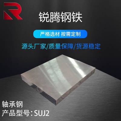 供应 SUJ2轴承钢板 定制Gr15 SuJ2轴承钢材精光板加工热处理大小切割