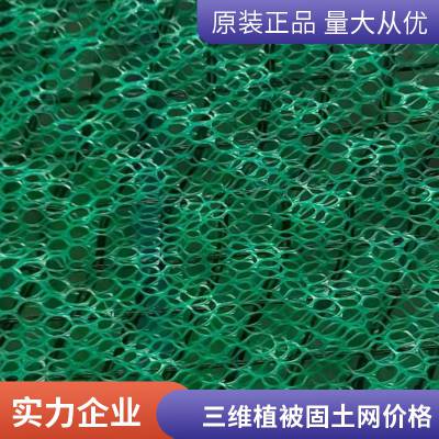三维复合排水网 长丝HDPE垃圾填埋场过滤网 边坡导流土工网 可定制