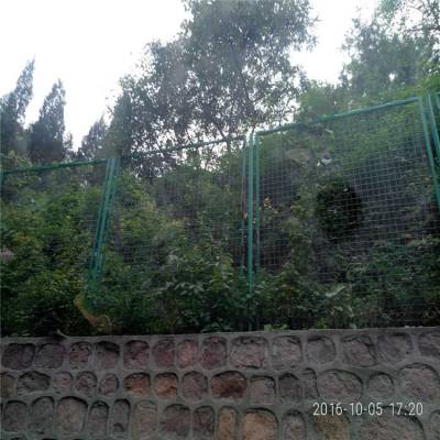 ܻ԰ջ7.5*15cmײָ