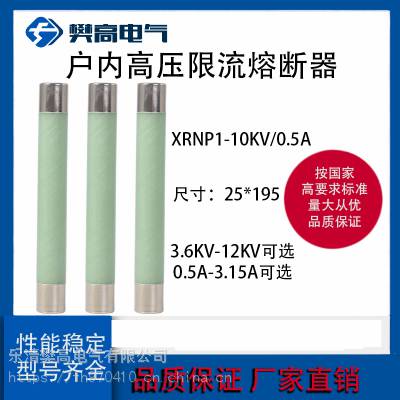 XRNP-10KV/1Aڸѹ۶