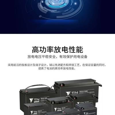 2V500AHӦԴTN2-500豸