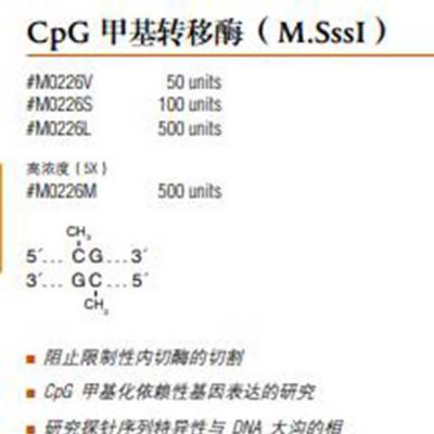 CPG甲基转移酶 型号:M0226S库号：M275370