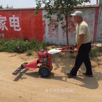 南京家用果园剪草机 7.5马力果园剪草机 圣鲁图片视频