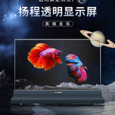 oled͸ʾĻ ͹oled͸ʾ 2023***