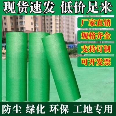 聚乙烯绿色防尘网 工地覆盖绿网 塑料丝编织盖土网