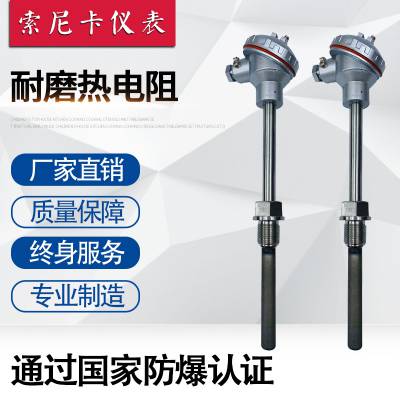 耐磨热电阻 WZP-230NM耐磨热电阻 低温耐磨热电阻