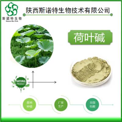 斯诺特生物棕黄色粉末 荷叶提取物 荷叶黄酮10% 包邮现货