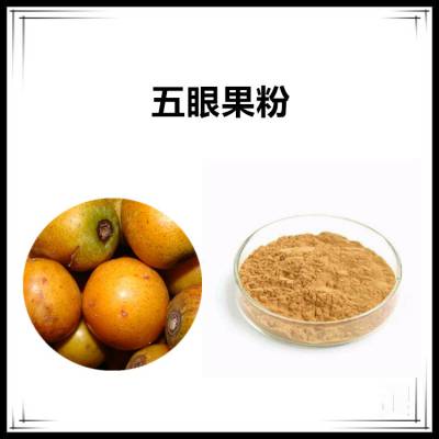 沃特莱斯生物 五眼果粉 速溶粉 水溶性粉末 喷雾干燥工艺