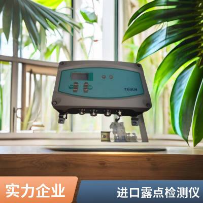 露点检测仪便携式油气泄漏检测仪燃气管道露点报警仪 可选露点取样系统