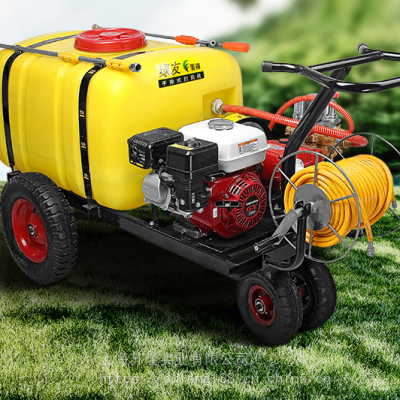 美神200l手推式机动喷雾器 lyd22c2t20xh1喷雾机 打药机