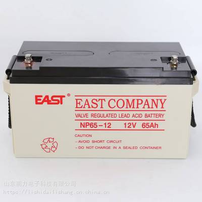 EAST易事特 NP65-12 UPS直流屏EPS应急电源太阳能备用12V65AH报价