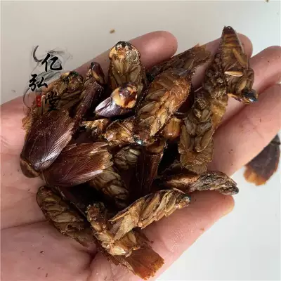 供应中药材负盘 石姜 滑虫 茶婆虫