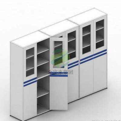 文件柜 肇庆药品专用储存柜 危险化学品试剂柜 钢制文件柜专业生产