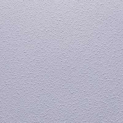 诗颖白色桔纹漆氨基桔纹漆