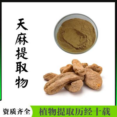 天麻提取物 精细粉末 纸板桶包装 120目 新食品原料