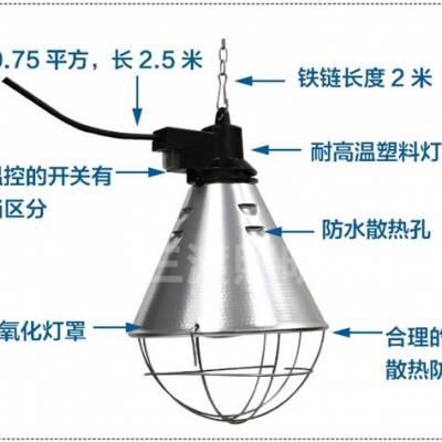 籣µ-(ѯ)-СȡůƱµ