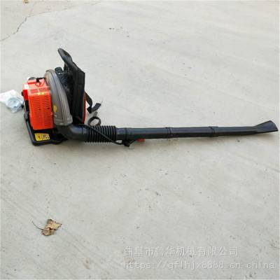 马路吹尘机 鲁华背负式汽油吹雪机 LH CFJ工程用吹风机