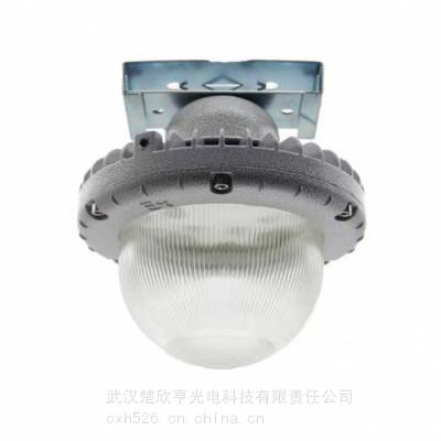 免维护防爆灯HRF89-11 120W 220V 化工厂照明灯50W油库安全灯80W