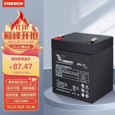 威神（VISENCH） 电池12V4.***H ***H四轮电动玩具车遥控汽车儿童车