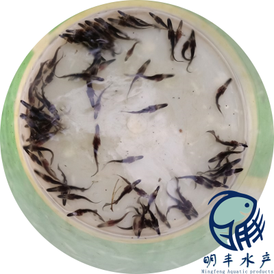 麣Ӧˮ ʻѼ 