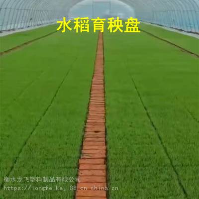 ̳ҹӦɽˮ ˮרͼƬ