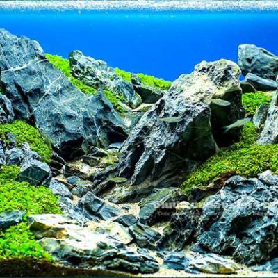 青龙石山尖风化溪流水磨多青色泛黑带白色不规则花纹
