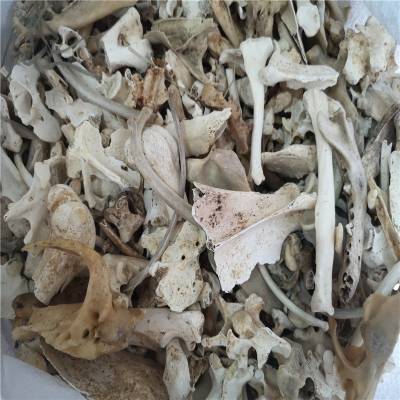 中药材狗骨狗骨头的药用价值