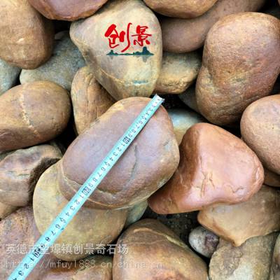 20-50cm黄色鹅卵石，公园铺建常用鹅卵石，广州河卵石多少钱一吨