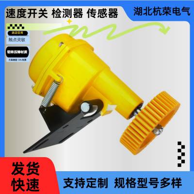 杭荣NS-S速度传感器FYDDH-02输送机速度打滑开关限位开关