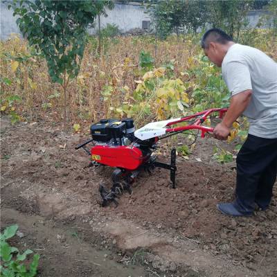 高效翻土汽油微耕机 苗圃除草翻地机 河北省土壤旋耕机