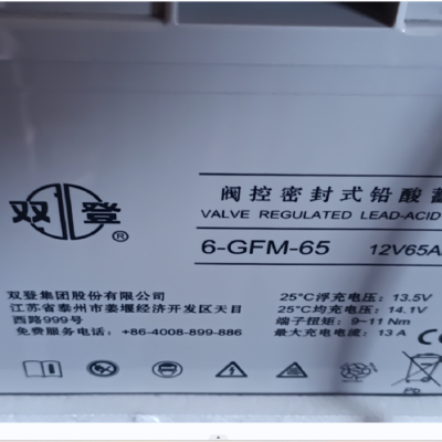 ˫ǷܱʽǦ6-GFM-65(C20)