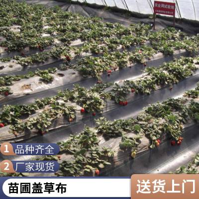 大棚地布 盖草布 除草布 园艺编织布尺寸可订制