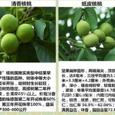 ᷻Ժ᷻ԺһõļǮ