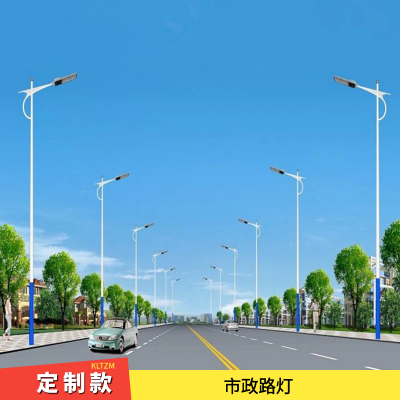 枣庄路灯厂 市政LED道路照明灯具 城市照明夜景照明