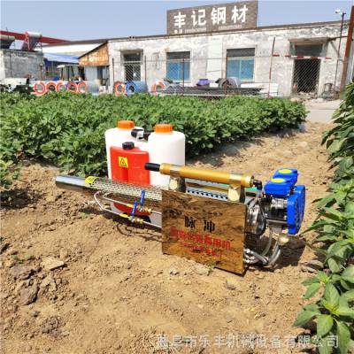 轻便式手持烟雾机 两用脉冲式弥雾机 农业植保机械不锈钢弥雾机