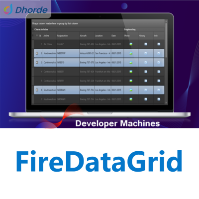 FireDataGridִıؼDelphiӦóʾ