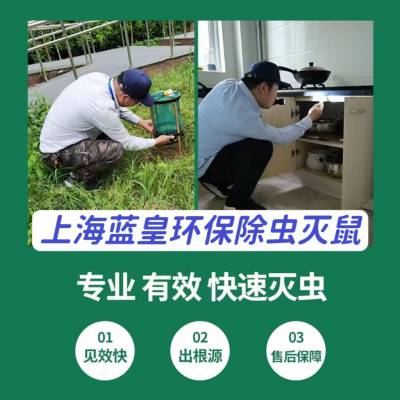 上海闵行区灭蟑螂公司电话食品厂办公室家庭防虫防鼠灭四害杀蚊蝇服务