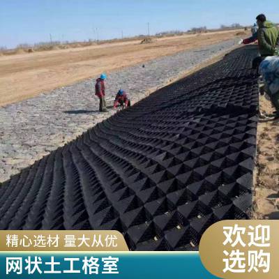 土工格室 路基稳固孔 河道护坡植草用蜂巢打孔格室