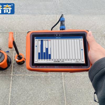 广东测漏水仪器 普奇-L2000E型地埋管道漏水检测仪