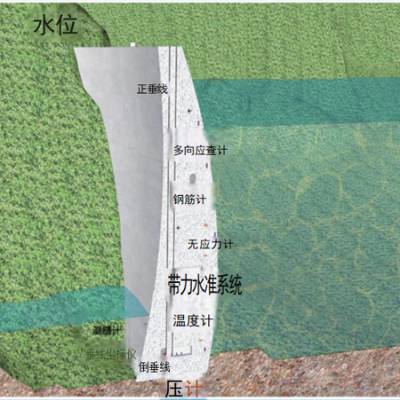北京中岩大地科技-古建筑在线监测服务-陕西古建筑在线监测