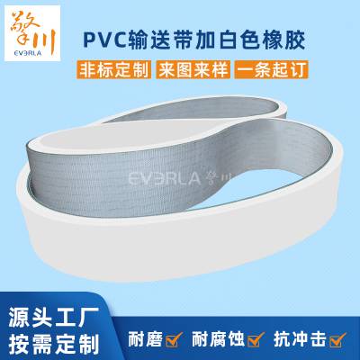 PVC输送带加白色橡胶耐磨耐腐蚀耐低温工业皮带定制