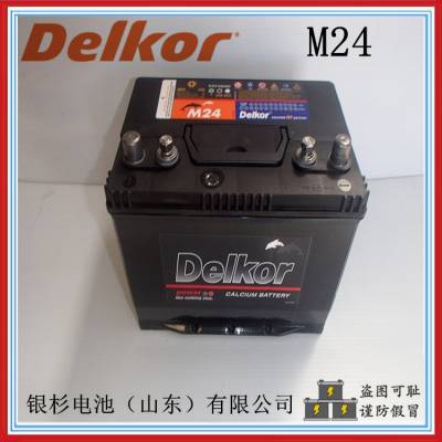 DelkorM24豸 г12V-82AH/520CCA