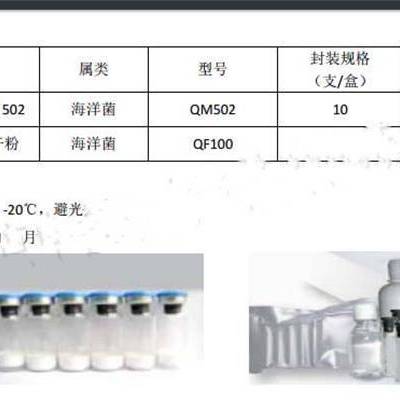 发光细菌冻干粉试剂盒/明亮发光杆菌/海洋菌 10 支一盒 型号:LS100-QM502