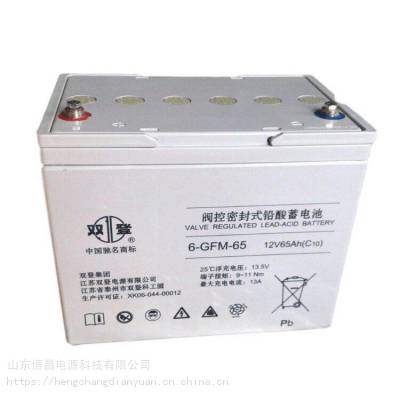 ˫6-GFM-65 Ǧά12V6***H UPSֱԴ