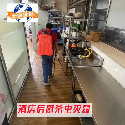 上海华漕镇家庭上门除老鼠堵洞见效快高品质服务