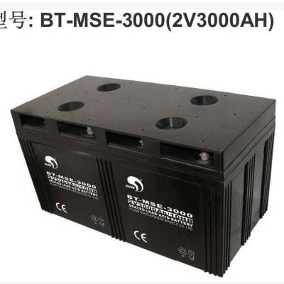 BT-MSE-3000 2V3000AH/10HR̫  Դ