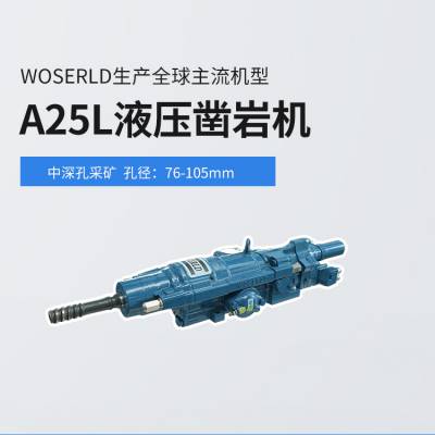 ²ɿЧʸ˼A25LҺѹһ***