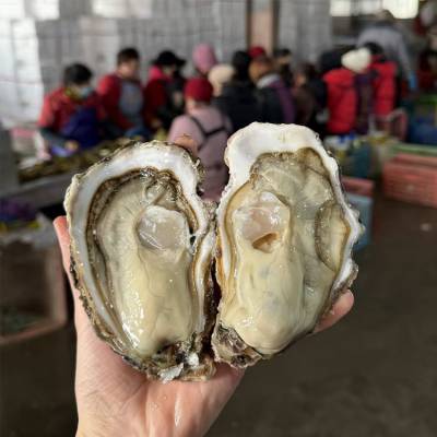 ȫ��������ɽ���3��50��һ���ʻ�ĵ�����ú���ˮ������ɽ��